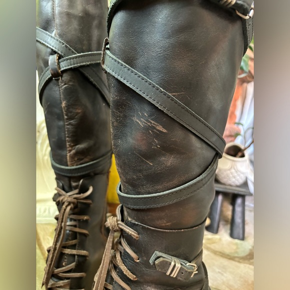 Freebird Cassius 8 - Picture 7 of 11